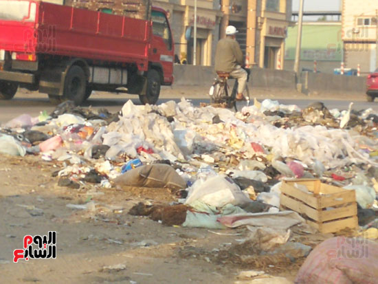 انتشار-القمامة-فى-الشوارع-بالمحله-(7)