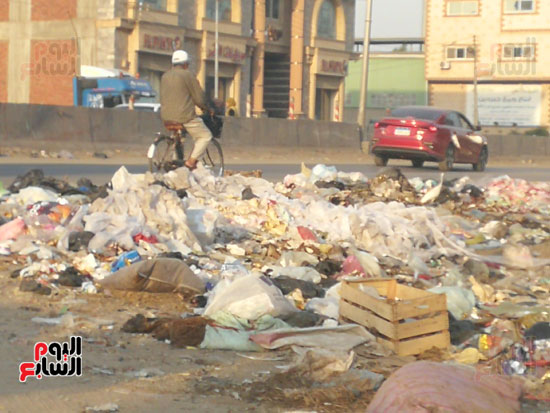 انتشار-القمامة-فى-الشوارع-بالمحله-(6)