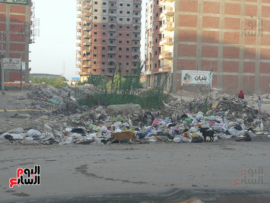 انتشار-القمامة-فى-الشوارع-بالمحله-(2)