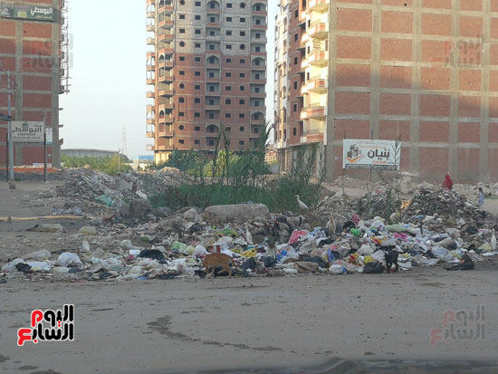 انتشار-القمامة-فى-الشوارع-بالمحله-(3)