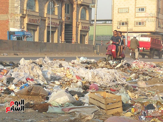 انتشار-القمامة-فى-الشوارع-بالمحله-(8)
