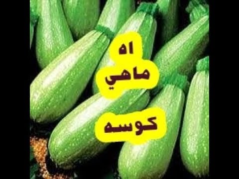 هى كوسة