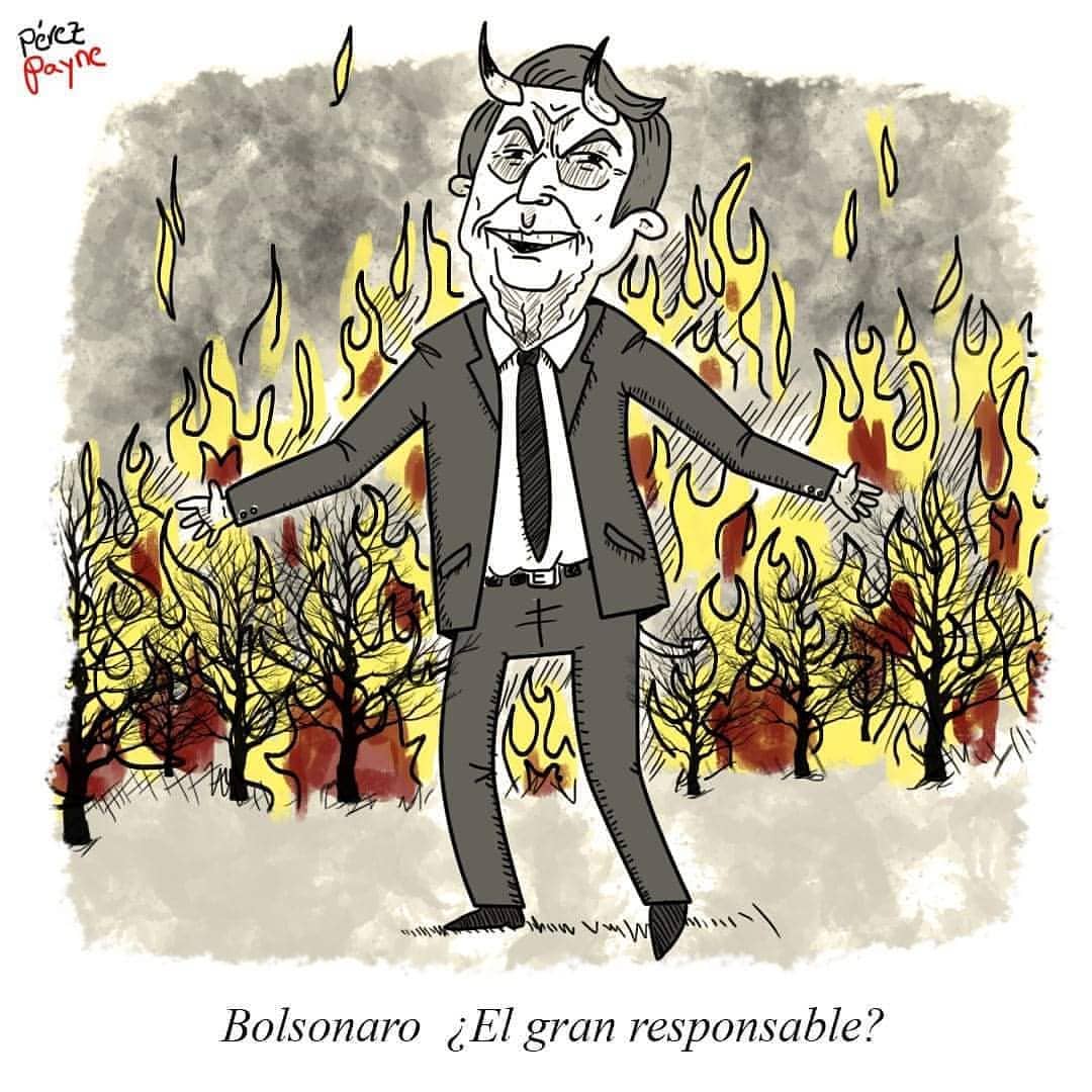 الرئيس البرازيلى يشعل انيران فى غابات الامازون