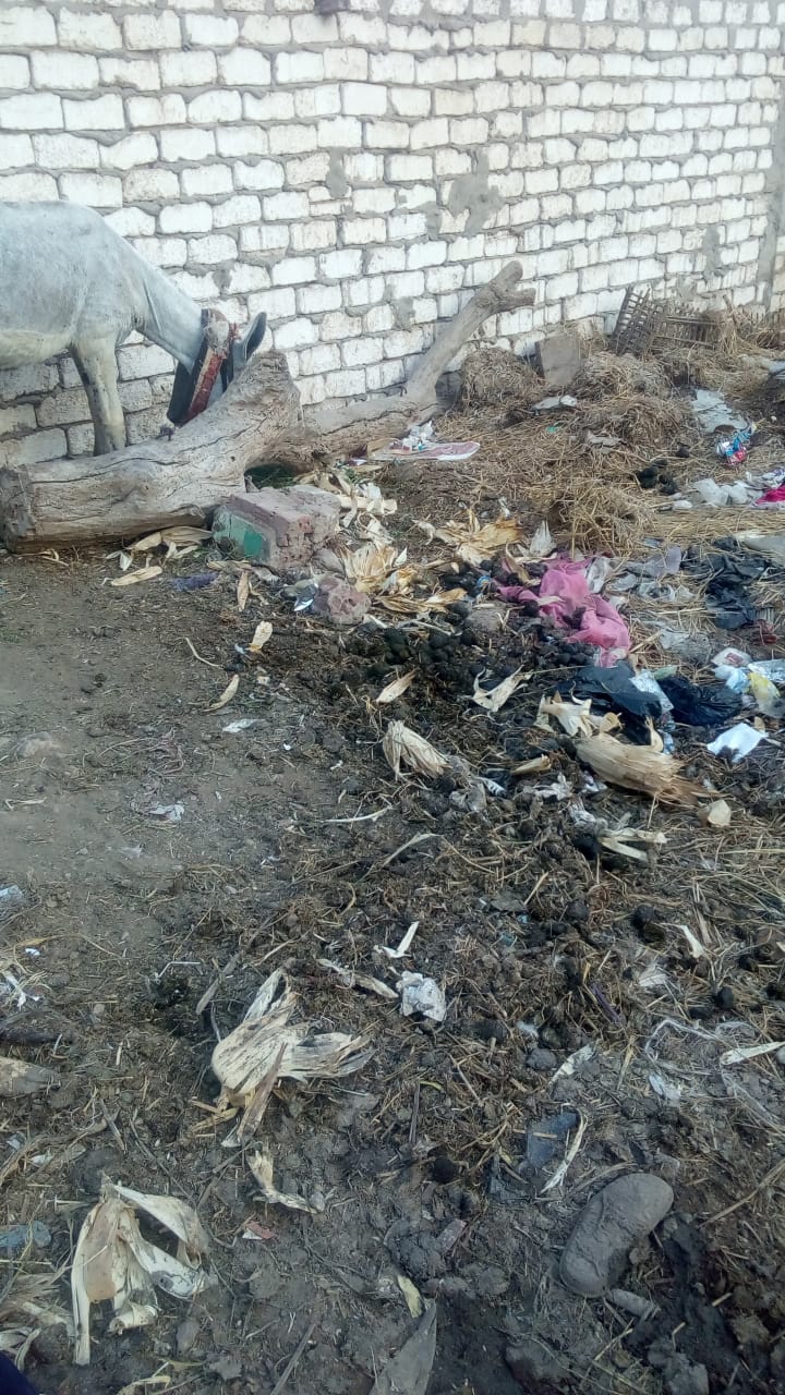 غرق شوارع قرية كفر الجنينة بالمحلة بالصرف الصحى (6)