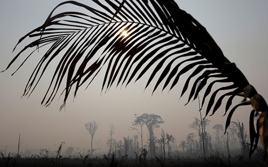 آثار حرائق غابات الأمازون
