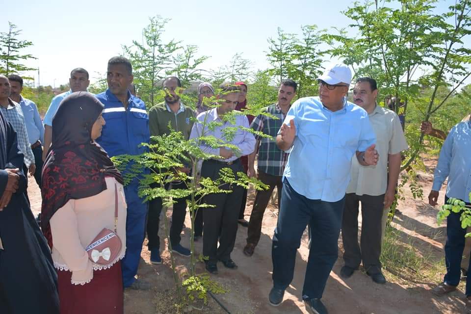 محافظ الوادى الجديد يتفقد مشروع زراعة أشجار المورينجا  (1)