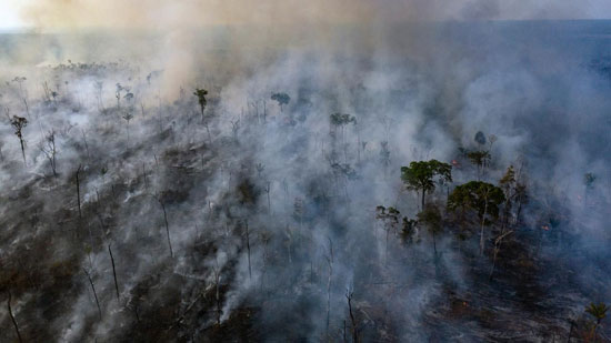 جانب من الحرائق فى غابات الامازون