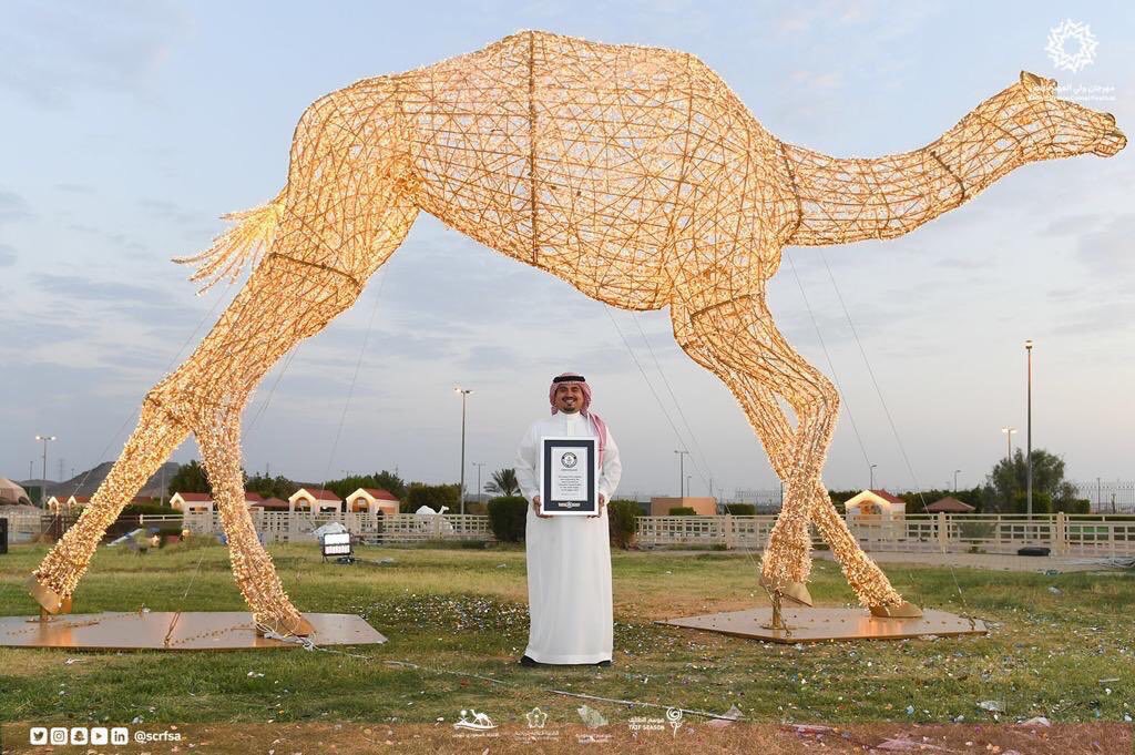أكبر مجسم للهجن فى العالم بالسعودية