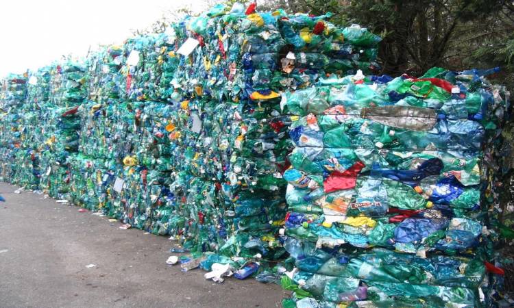 أزمة أكياس البلاستيك 