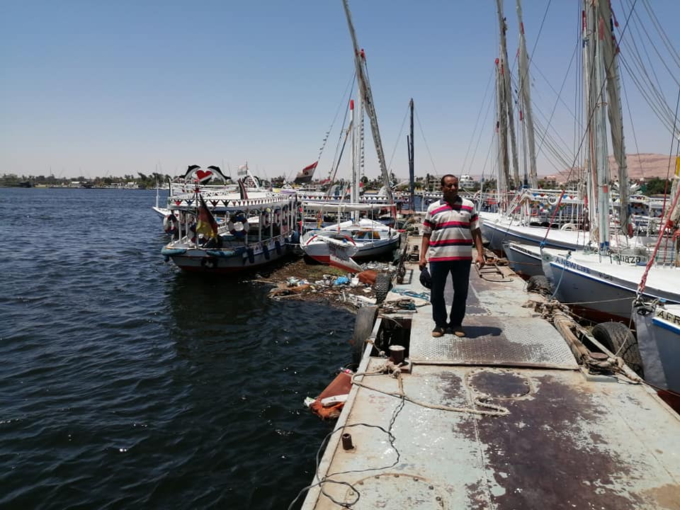 مدينة الأقصر وشركة المراسي يرفعان عجلين نافقين بنهر النيل في 48 ساعة  (7)