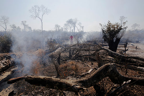 رجال الإطفاء يستمرون فى عملهم فى غابات الأمازون التى التهمتها الحرائق (4)