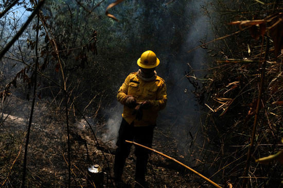 جهود رجال الإطفاء لإخماد حرائق غابات الأمازون