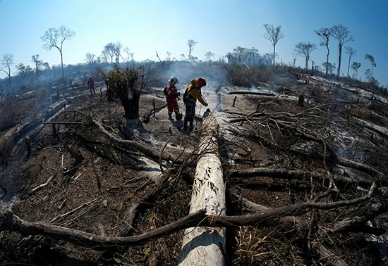 رجال الإطفاء يستمرون فى عملهم فى غابات الأمازون التى التهمتها الحرائق (7)