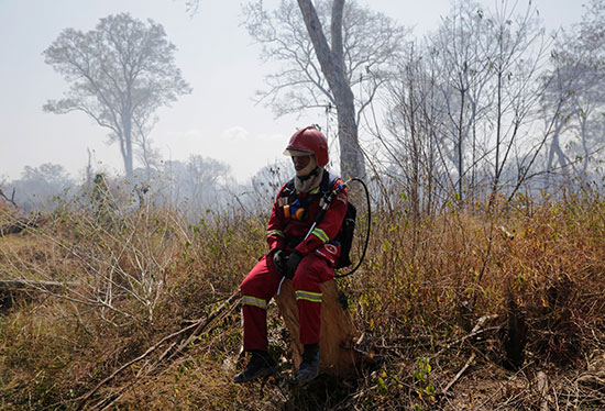 رجال الإطفاء يستمرون فى عملهم فى غابات الأمازون التى التهمتها الحرائق (5)