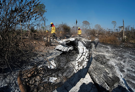 رجال الإطفاء يستمرون فى عملهم فى غابات الأمازون التى التهمتها الحرائق (9)