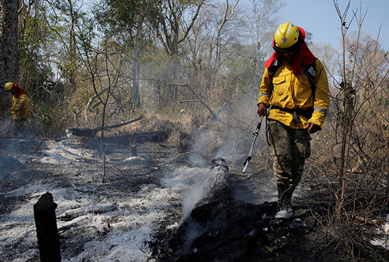 رجال الإطفاء يستمرون فى عملهم فى غابات الأمازون التى التهمتها الحرائق (2)
