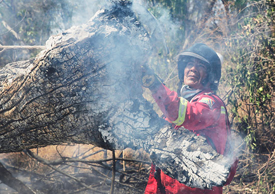 رجال الإطفاء يستمرون فى عملهم فى غابات الأمازون التى التهمتها الحرائق (8)