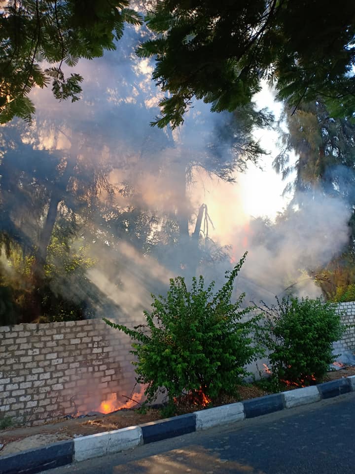 السيطرة علي حريق أشجار ومخلفات (1)