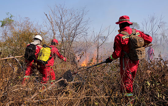 رجال الإطفاء يستمرون فى عملهم فى غابات الأمازون التى التهمتها الحرائق (1)