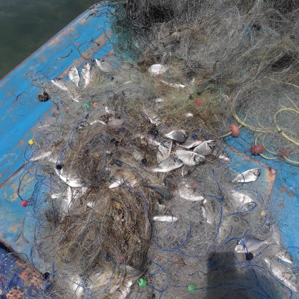 ضبط أدوات صيد مخالفة ببحيرة البردويل  (3)
