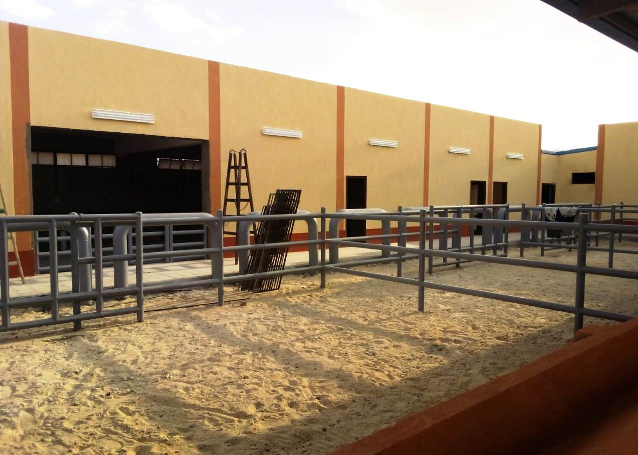 أول مدرسة زراعية في واحة سيوة على مساحة 35 فدان (3)