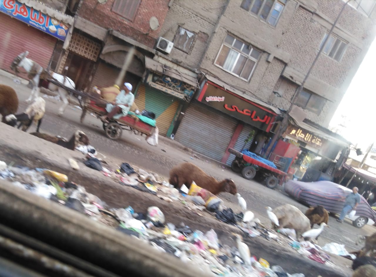القمامة بشارع احمد عرابى بشبرا