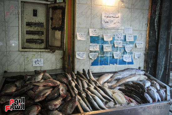 أنواع وأسعار الأسماك