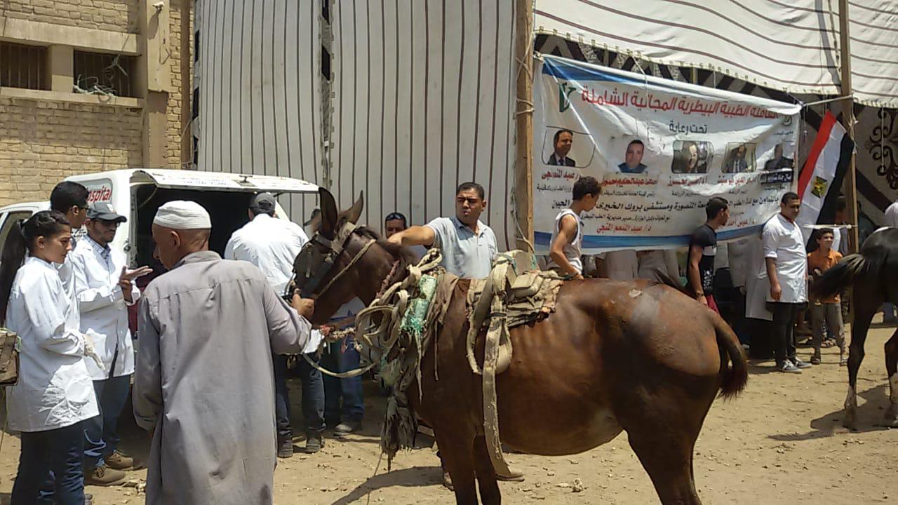 مبادرة حياة كريمة بالدقهليه (1)