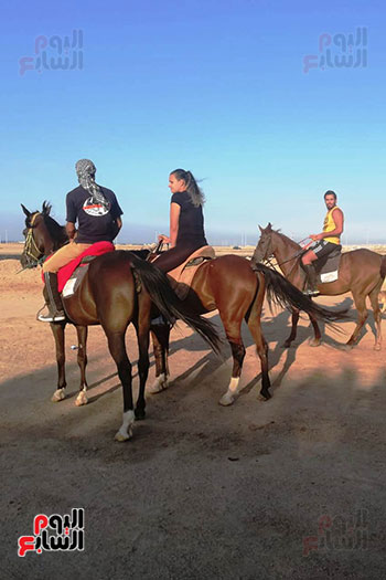 رحلات الخيول السياحية فى البحر الأحمر (1)