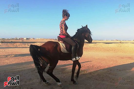 رحلات الخيول السياحية فى البحر الأحمر (18)