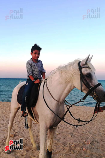 رحلات الخيول السياحية فى البحر الأحمر (17)