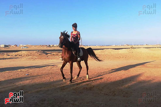 رحلات الخيول السياحية فى البحر الأحمر (10)