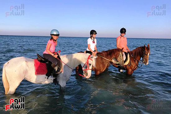 رحلات الخيول السياحية فى البحر الأحمر (23)
