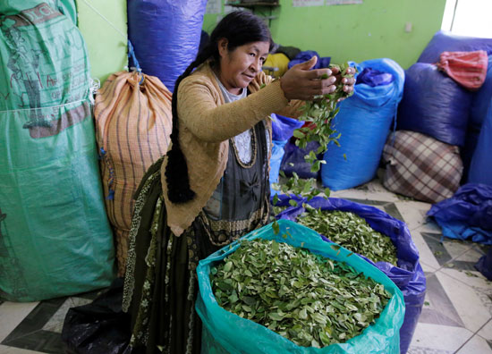 71892-إحدى-المزارعات-تبيع-أوراق-الكوكا-فى-سوق-قانونو-فى-بوليفيا