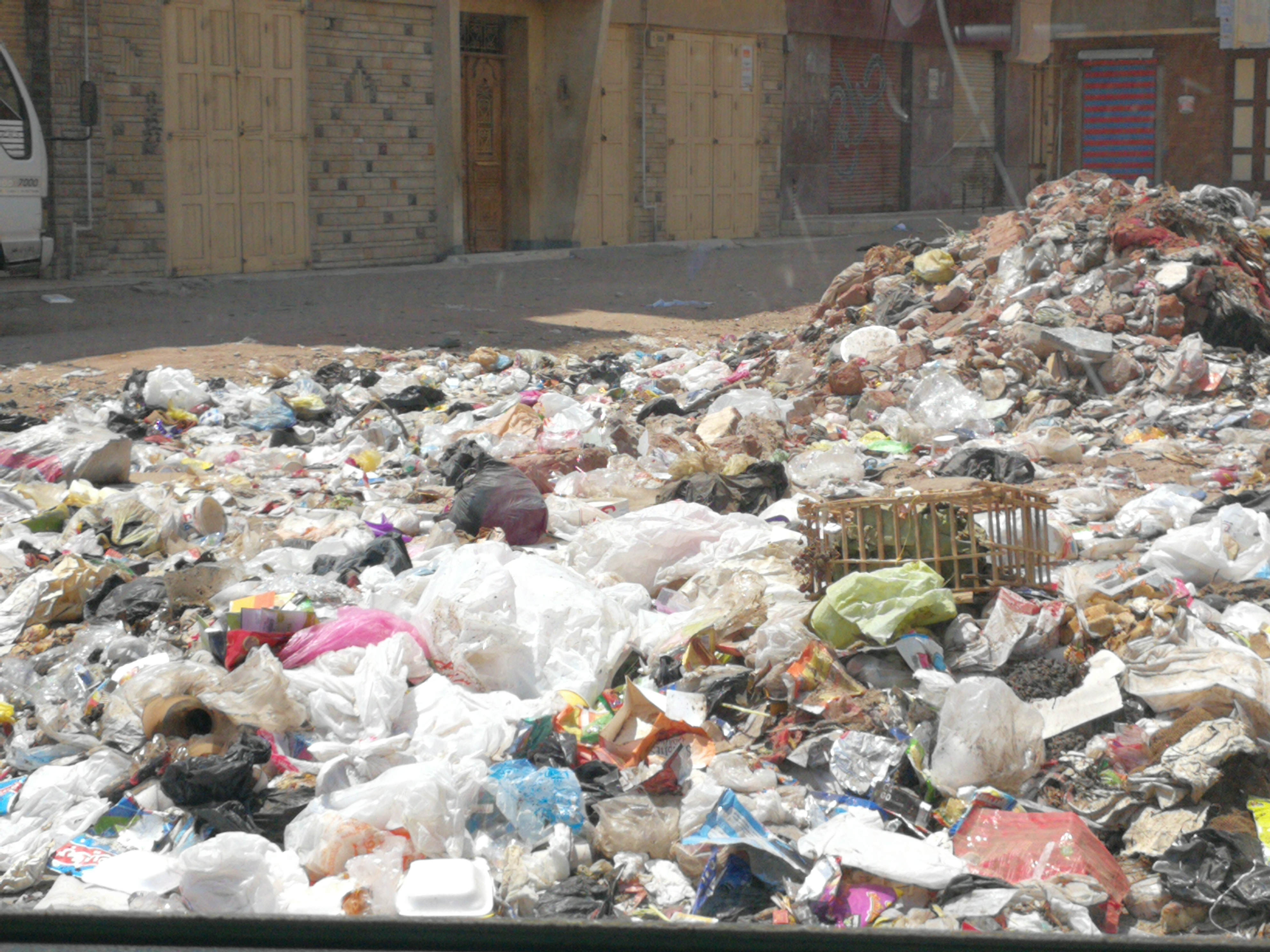 انتشار القمامة أمام سوق الجملة وكوبرى الفريق رضا حافظ بالمحلة (5)