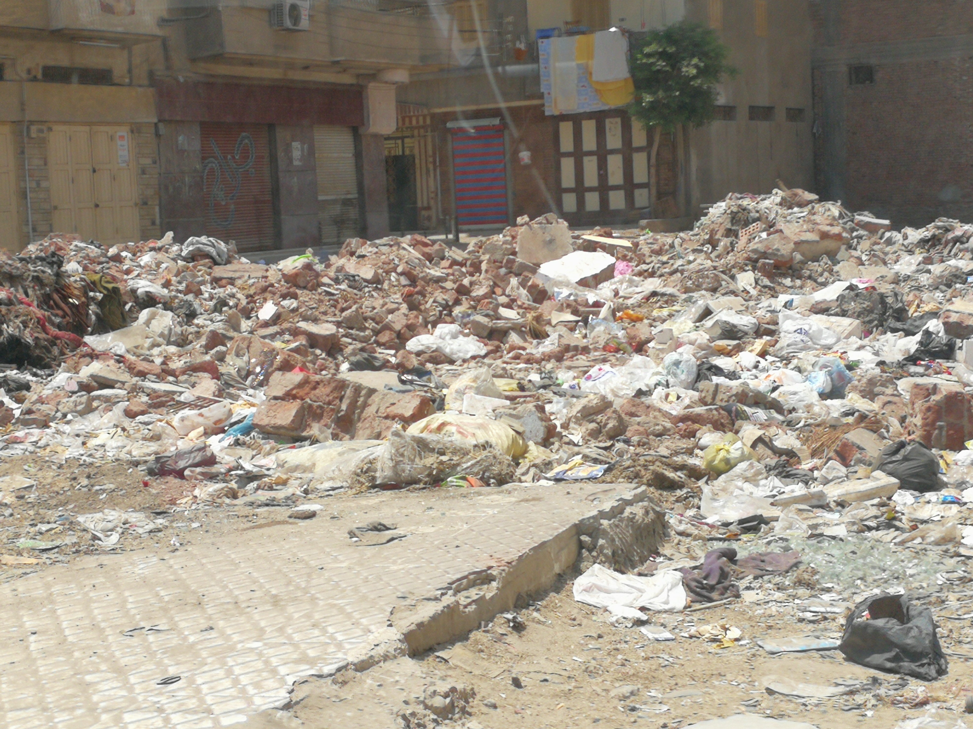انتشار القمامة أمام سوق الجملة وكوبرى الفريق رضا حافظ بالمحلة (3)