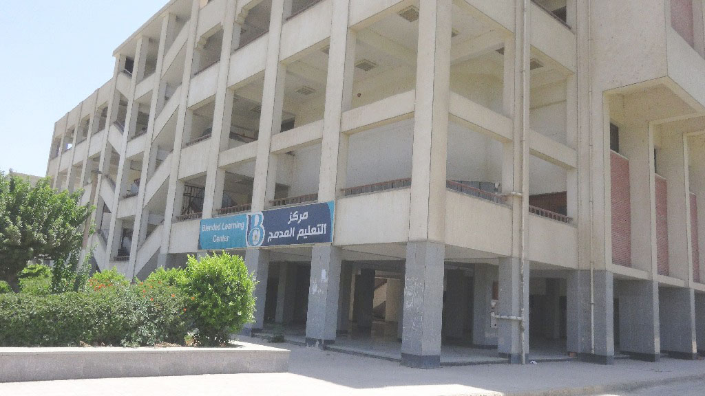 فتح باب التقدم للالتحاق بخمسة برامج بالتعليم المدمج فى جامعة المنيا (2)