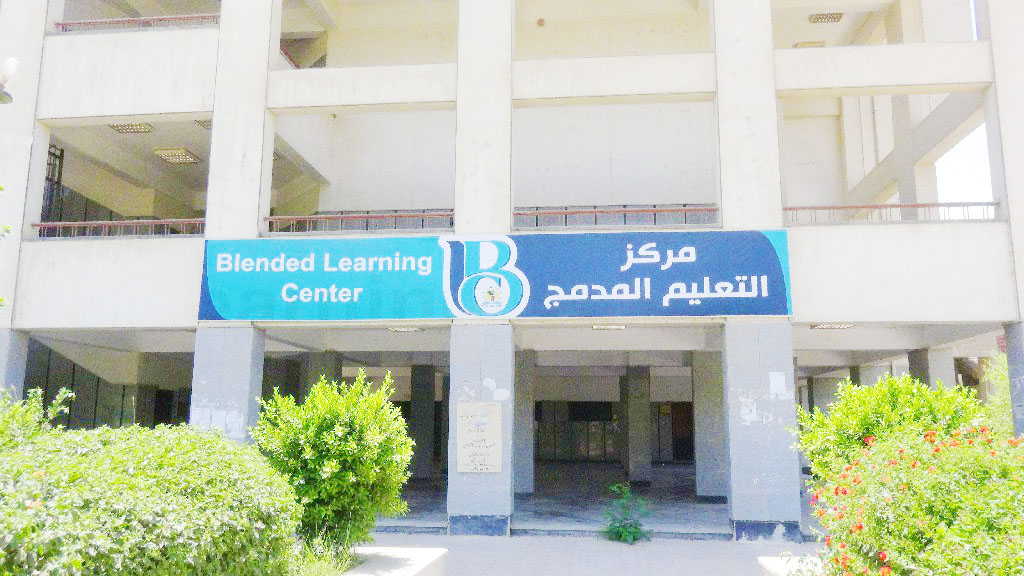 فتح باب التقدم للالتحاق بخمسة برامج بالتعليم المدمج فى جامعة المنيا (5)