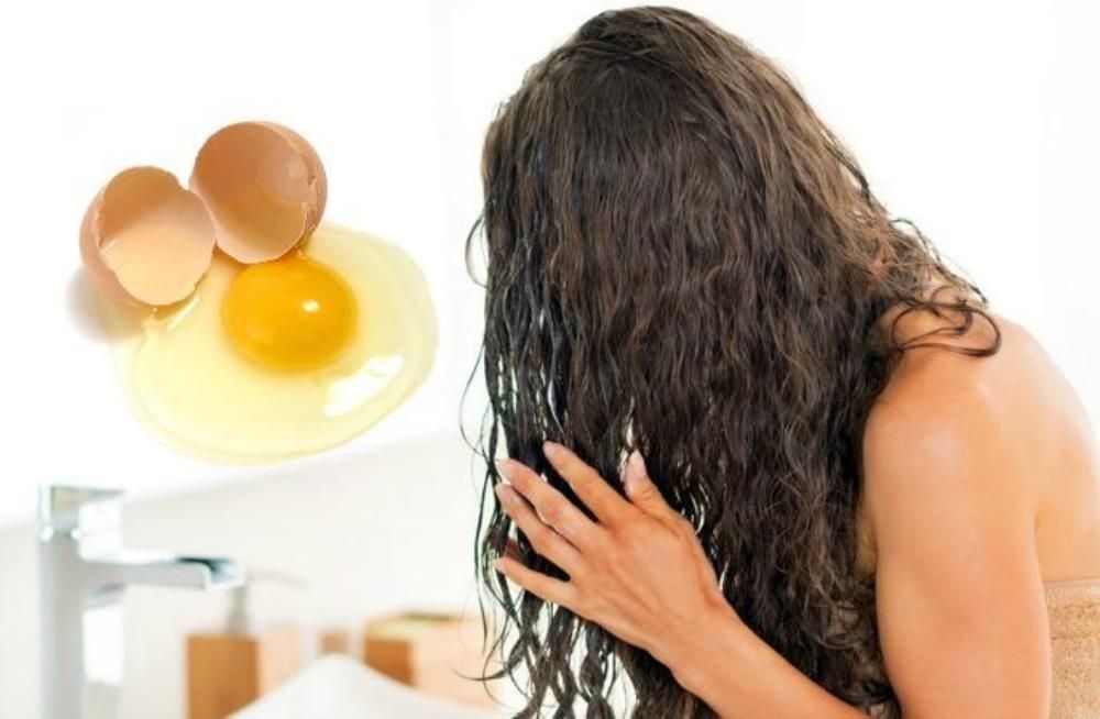 خلطة العسل والبيض وزيت الزيتون خلطة العسل والبيض وزيت الزيتون