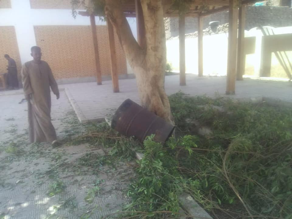 تجميل وقص الأشجار وتمهيد الطرق داخل وخارج مدارس الطود بالأقصر (4)