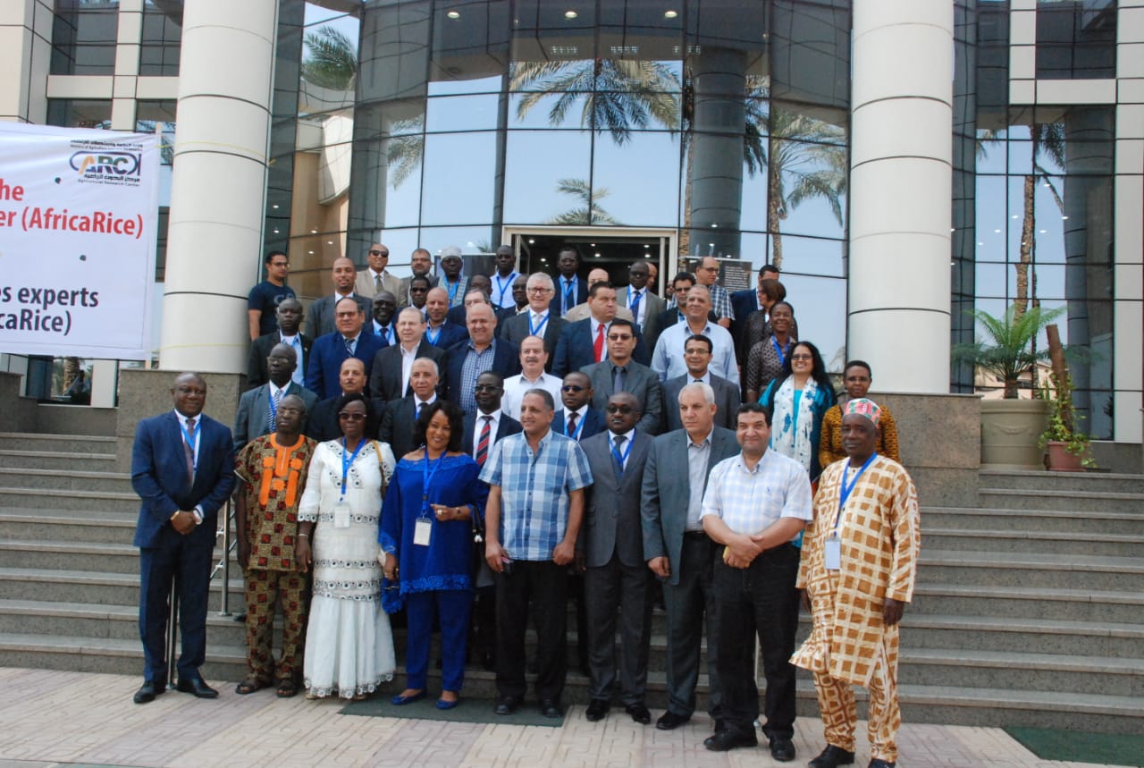 اجتماعات مركز الارز الافريقيى (3)