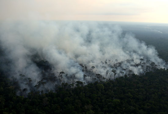 تجدد اندلاع الحرائق فى غابات الأمازون