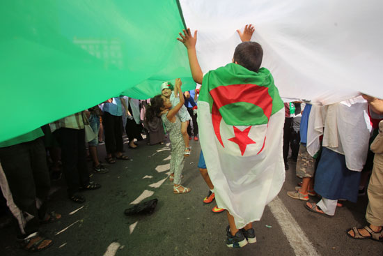 العلم الجزائرى