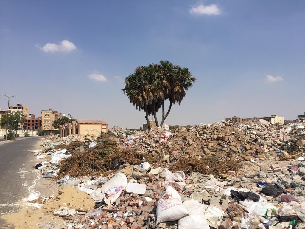 نائب محافظ الإسماعيلية يقود حملة لإزالة القمامة (1)