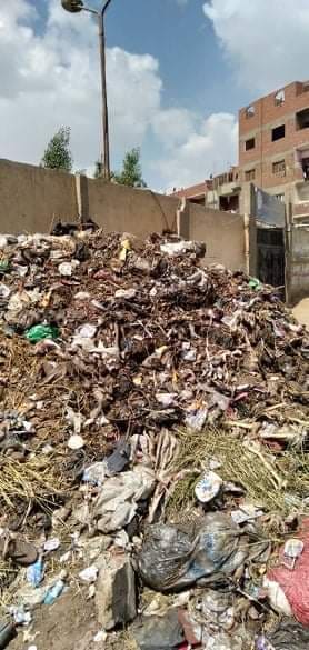 القمامة بجوار سور إحدى المدارس بترسا