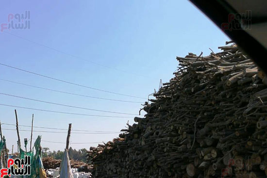 مكامير الفحم كابوس يؤرق أهالى قرية إبشواى الملق بالغربية (4)