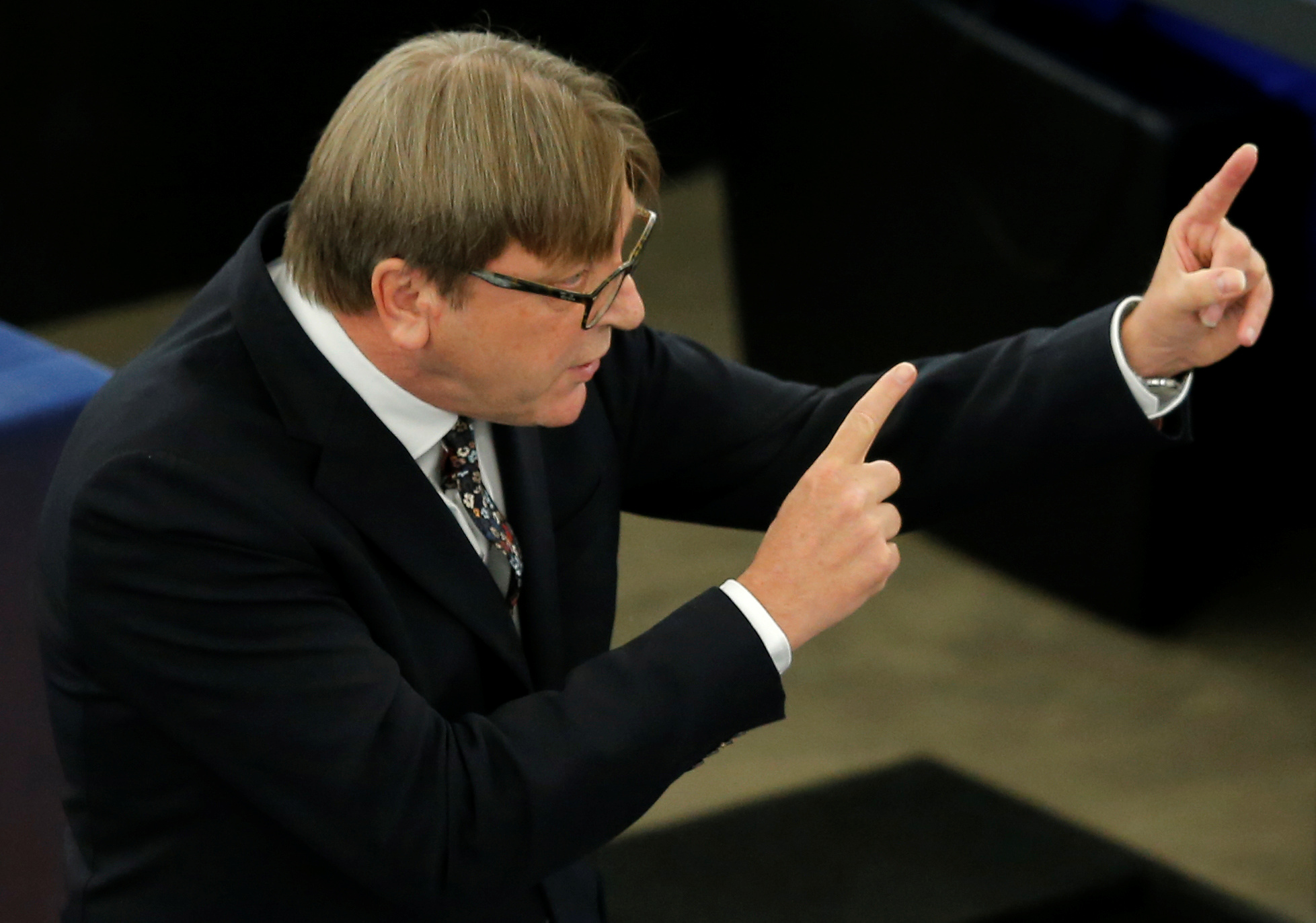 كلمة لأحد المشاركين بجلسة البرلمان الأوروبى