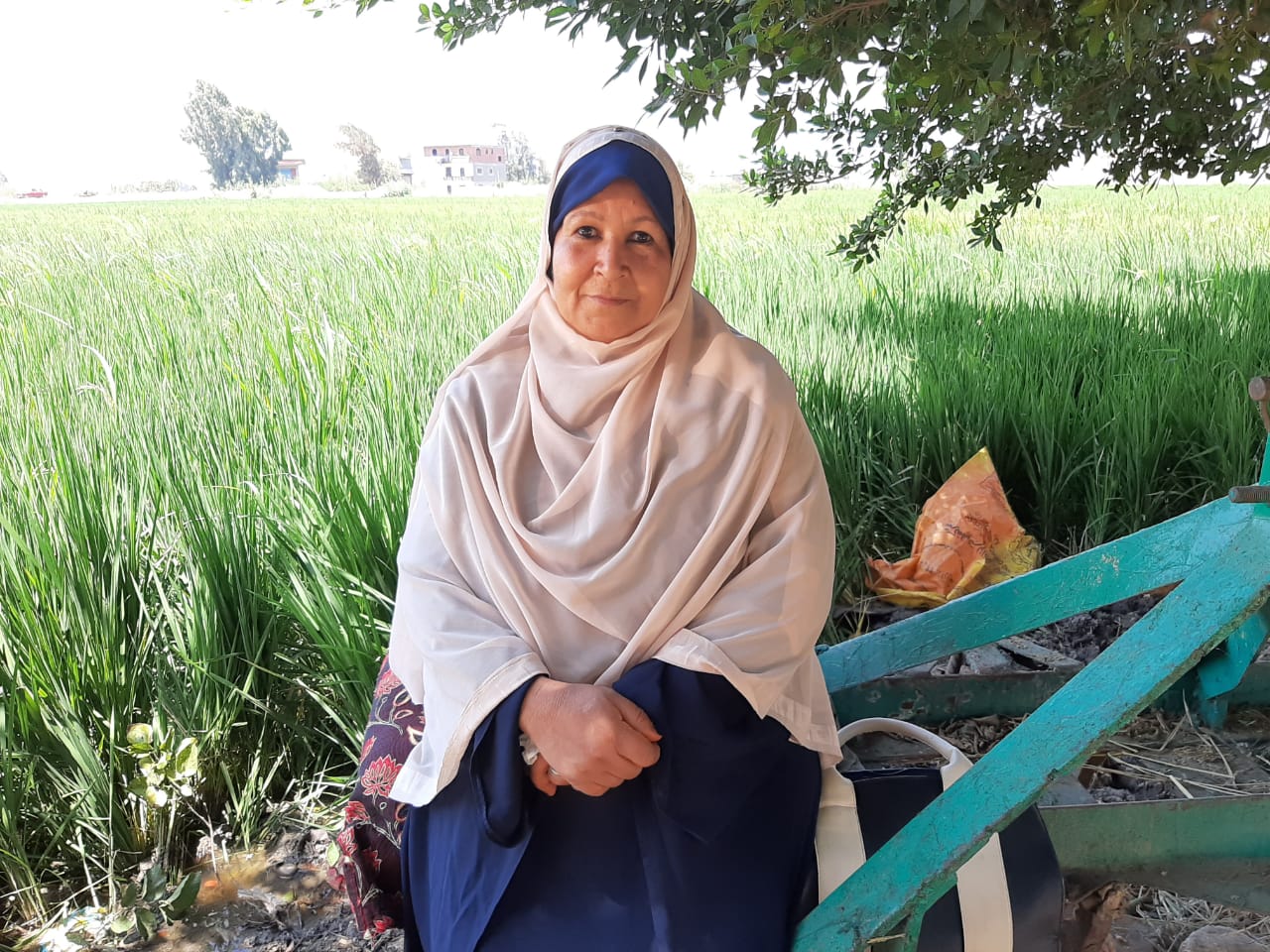 عفاف محمود أول سيدة تتولى إدارة جمعية زراعية بالشرقية