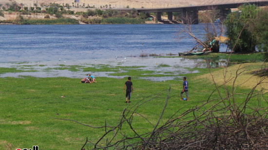 نهر-النيل-بمنطقة-كوبرى-أسوان-المعلق-(9)