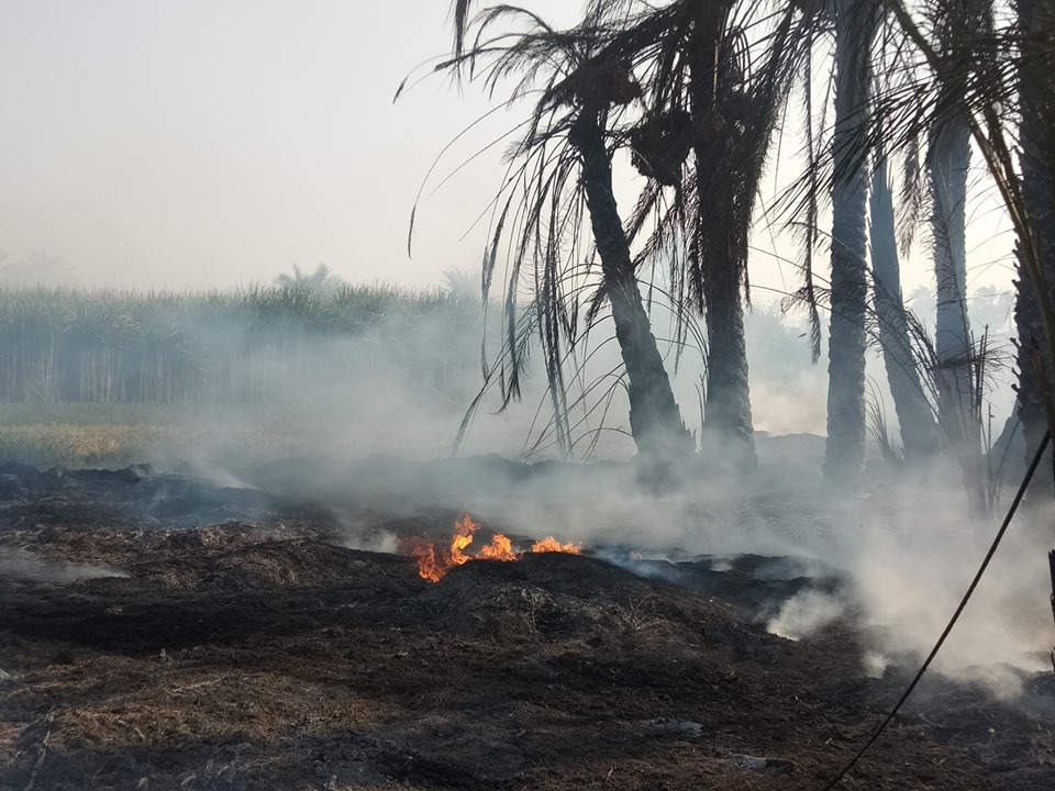 السيطرة علي حريق في أحواش ماشية وأشجار نخيل دون مصابين جنوبي الأقصر (3)